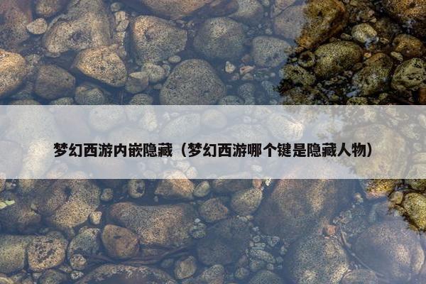 梦幻西游内嵌隐藏（梦幻西游哪个键是隐藏人物）