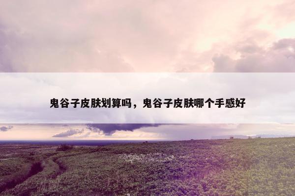 鬼谷子皮肤划算吗，鬼谷子皮肤哪个手感好