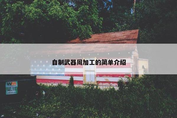 自制武器周加工的简单介绍