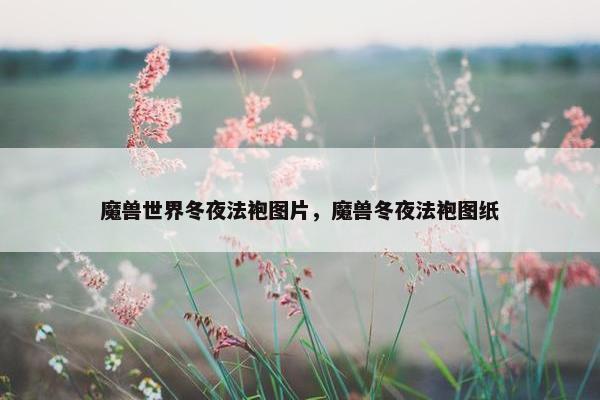 魔兽世界冬夜法袍图片，魔兽冬夜法袍图纸