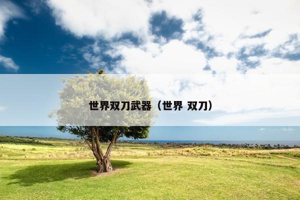 世界双刀武器（世界 双刀）
