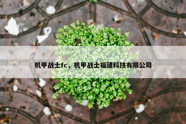 机甲战士fc，机甲战士福建科技有限公司