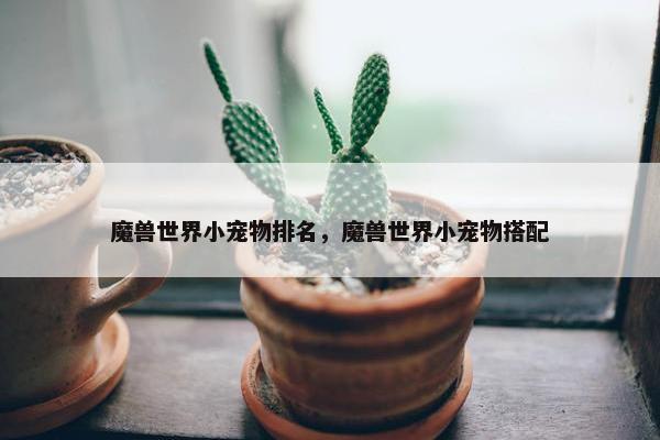 魔兽世界小宠物排名，魔兽世界小宠物搭配