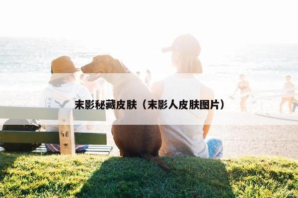 末影秘藏皮肤（末影人皮肤图片）