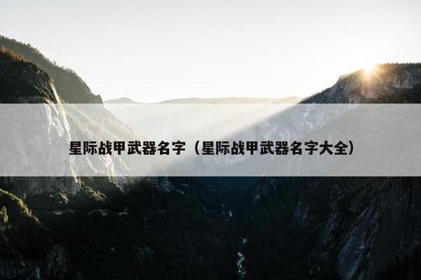 星际战甲武器名字（星际战甲武器名字大全）