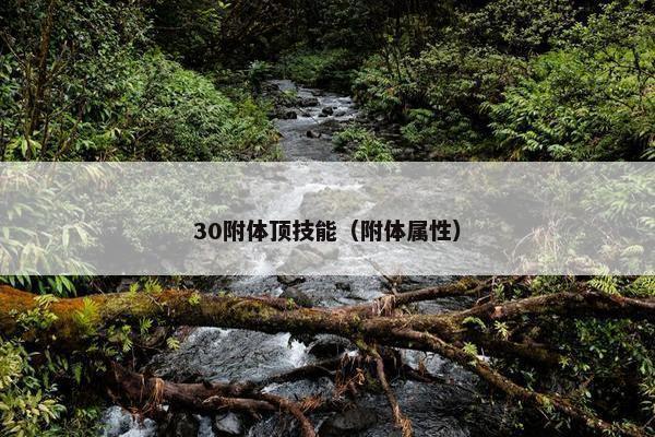 30附体顶技能（附体属性）