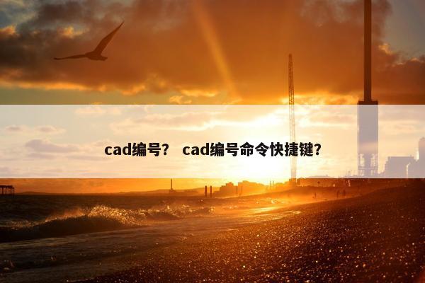 cad编号？ cad编号命令快捷键？