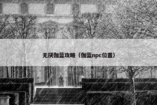 无厌伽蓝攻略（伽蓝npc位置）