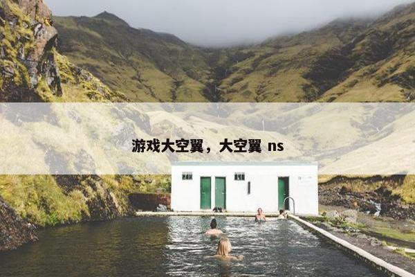 游戏大空翼，大空翼 ns