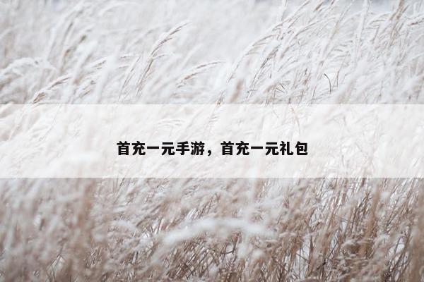 首充一元手游，首充一元礼包
