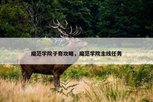 魔范学院子奇攻略，魔范学院主线任务