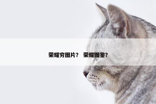 荣耀穷图片？ 荣耀图鉴？