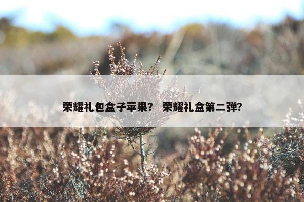 荣耀礼包盒子苹果？ 荣耀礼盒第二弹？