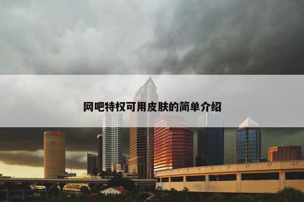 网吧特权可用皮肤的简单介绍
