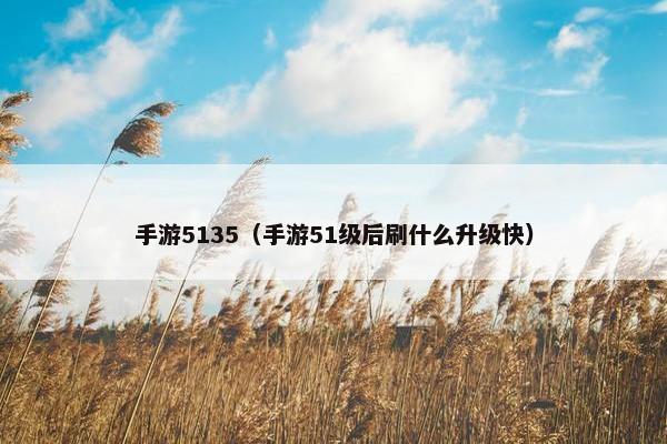 手游5135（手游51级后刷什么升级快）