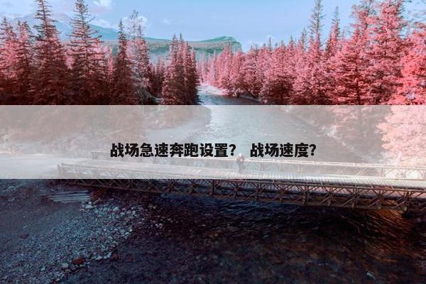 战场急速奔跑设置？ 战场速度？