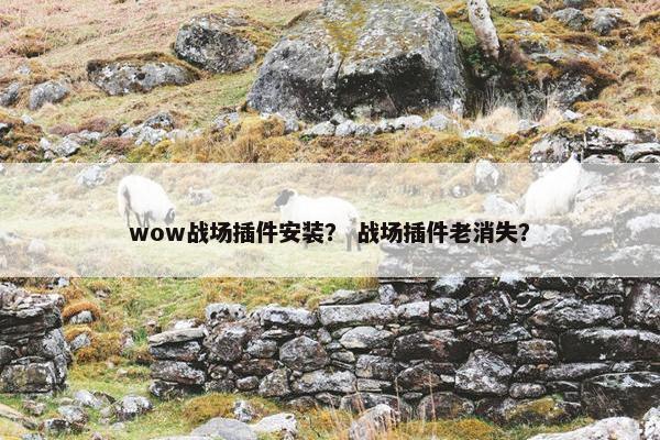 wow战场插件安装？ 战场插件老消失？