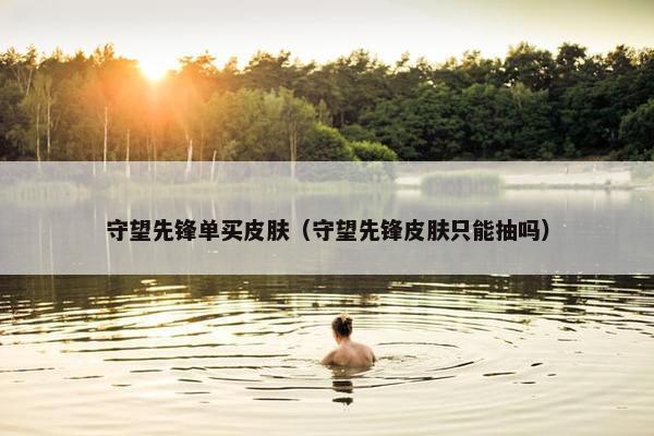 守望先锋单买皮肤（守望先锋皮肤只能抽吗）