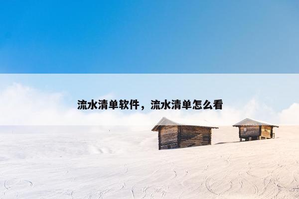 流水清单软件，流水清单怎么看
