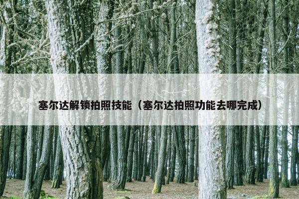 塞尔达解锁拍照技能（塞尔达拍照功能去哪完成）