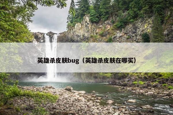 英雄杀皮肤bug（英雄杀皮肤在哪买）