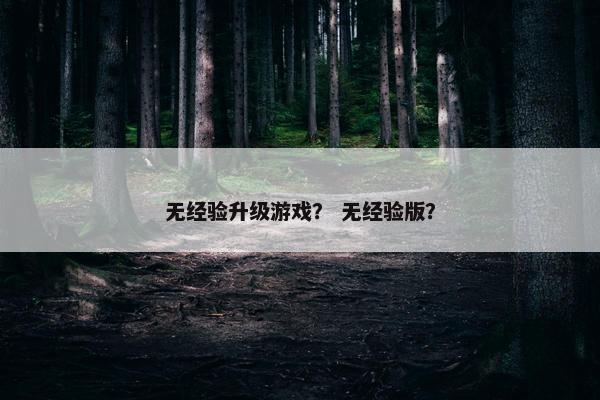 无经验升级游戏？ 无经验版？