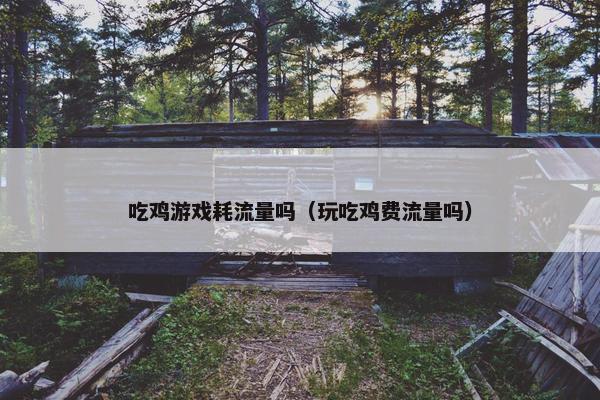 吃鸡游戏耗流量吗（玩吃鸡费流量吗）