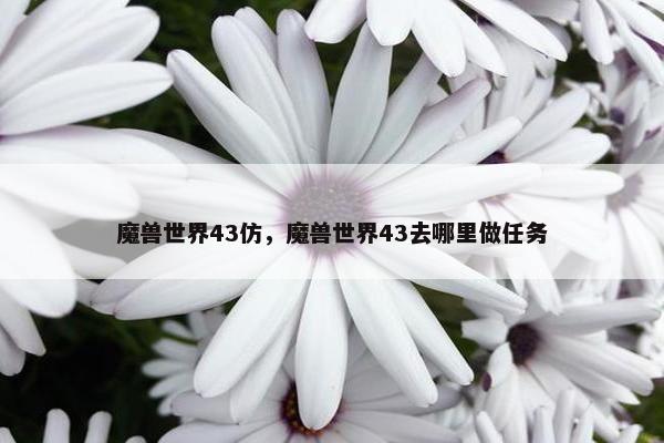 魔兽世界43仿，魔兽世界43去哪里做任务