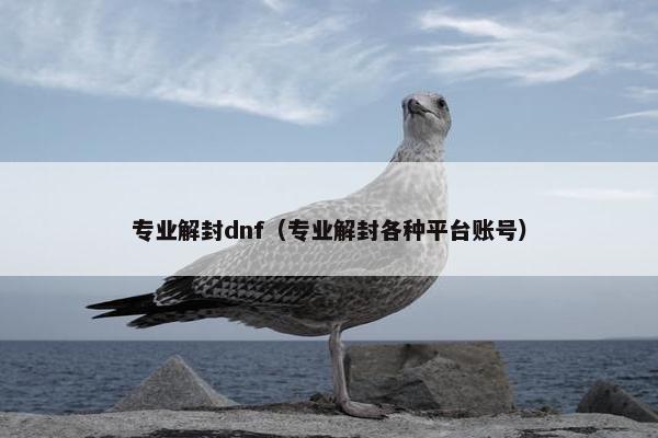 专业解封dnf（专业解封各种平台账号）