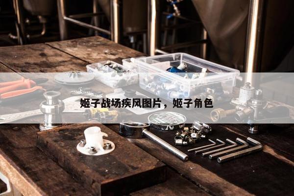 姬子战场疾风图片，姬子角色