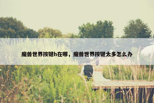 魔兽世界按键h在哪，魔兽世界按键太多怎么办