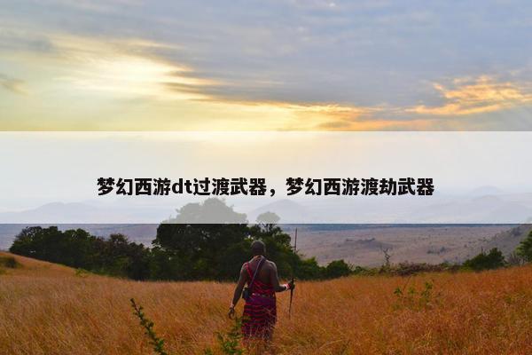 梦幻西游dt过渡武器，梦幻西游渡劫武器