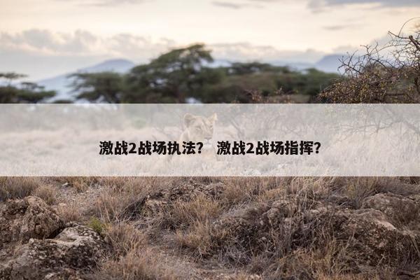激战2战场执法？ 激战2战场指挥？