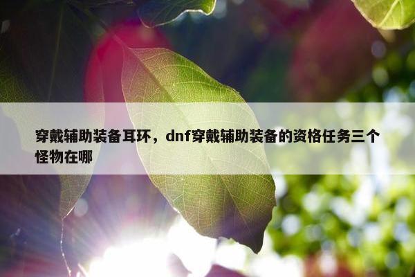 穿戴辅助装备耳环，dnf穿戴辅助装备的资格任务三个怪物在哪