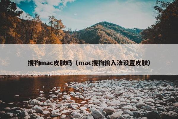 搜狗mac皮肤吗（mac搜狗输入法设置皮肤）