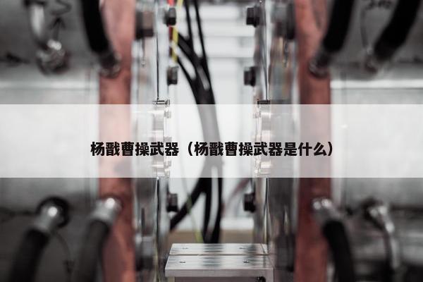杨戬曹操武器（杨戬曹操武器是什么）