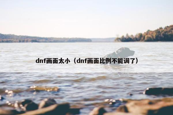 dnf画面太小（dnf画面比例不能调了）