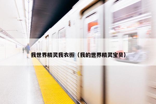 我世界精灵我衣橱（我的世界精灵宝贝）