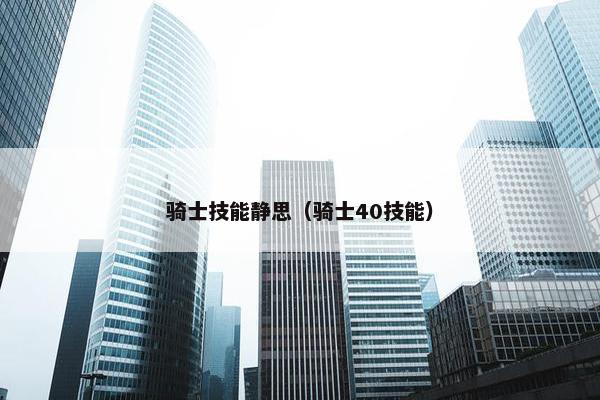 骑士技能静思（骑士40技能）