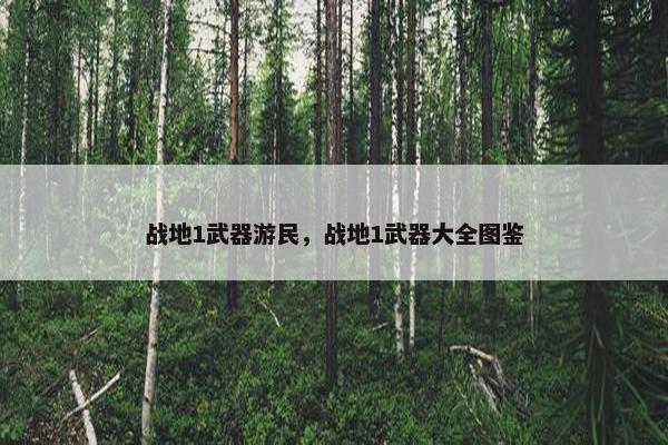 战地1武器游民，战地1武器大全图鉴