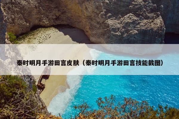 秦时明月手游田言皮肤（秦时明月手游田言技能截图）