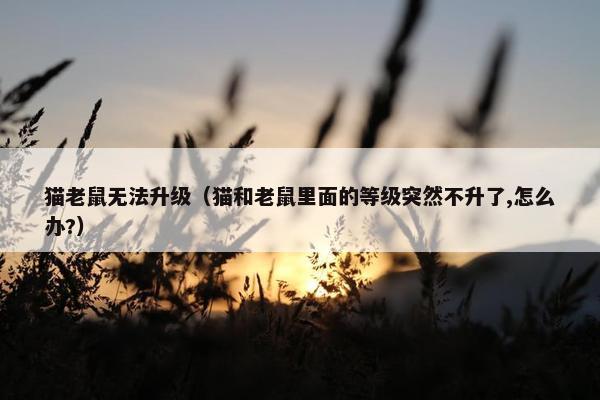 猫老鼠无法升级（猫和老鼠里面的等级突然不升了,怎么办?）