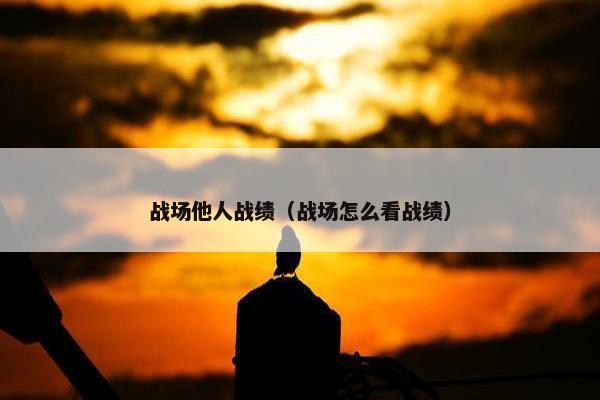 战场他人战绩（战场怎么看战绩）