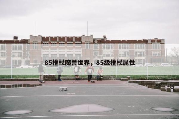 85橙杖魔兽世界，85级橙杖属性