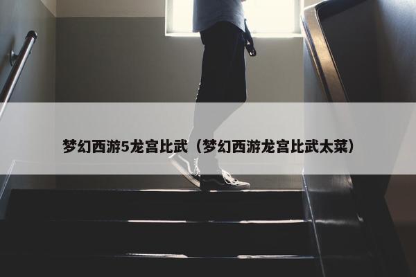 梦幻西游5龙宫比武（梦幻西游龙宫比武太菜）