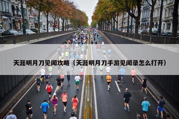 天涯明月刀见闻攻略（天涯明月刀手游见闻录怎么打开）