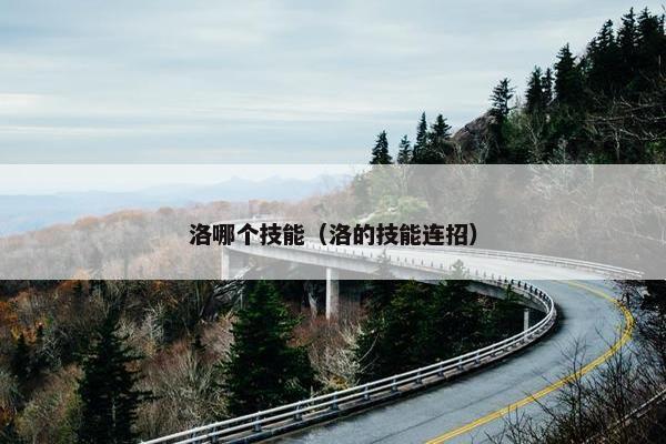 洛哪个技能（洛的技能连招）