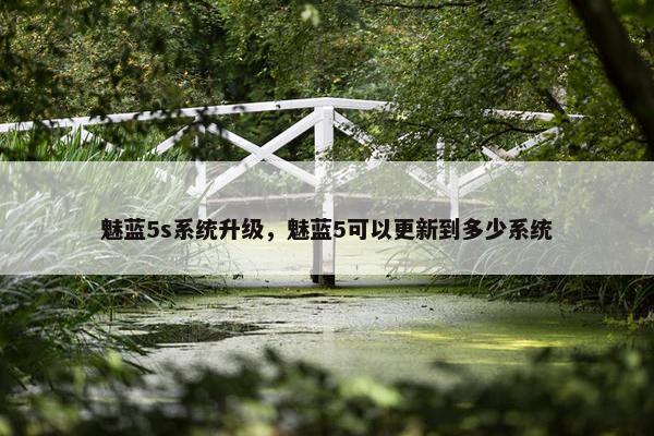 魅蓝5s系统升级，魅蓝5可以更新到多少系统