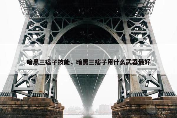 暗黑三痞子技能，暗黑三痞子用什么武器最好