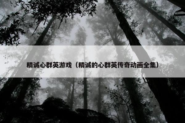 精诚心群英游戏（精诚的心群英传奇动画全集）